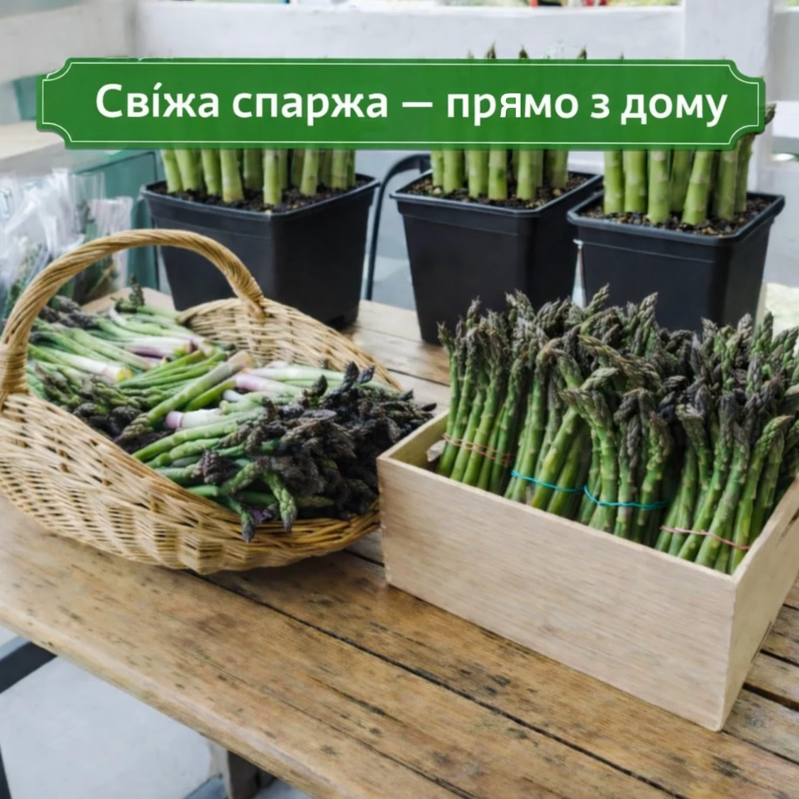 Спаржа вдома